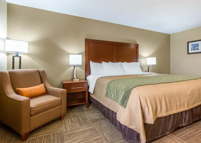 Comfort Near St Louis Mini-hôtel Collinsville
