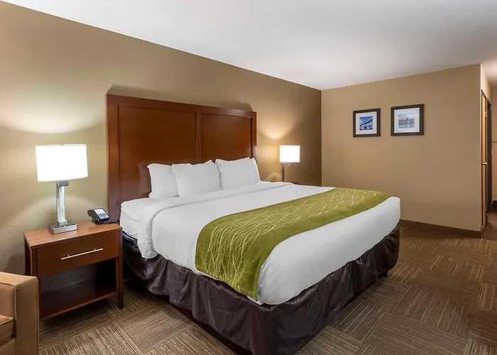 Mini-hôtel Comfort Near St Louis
