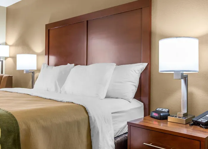 Comfort Near St Louis 4*