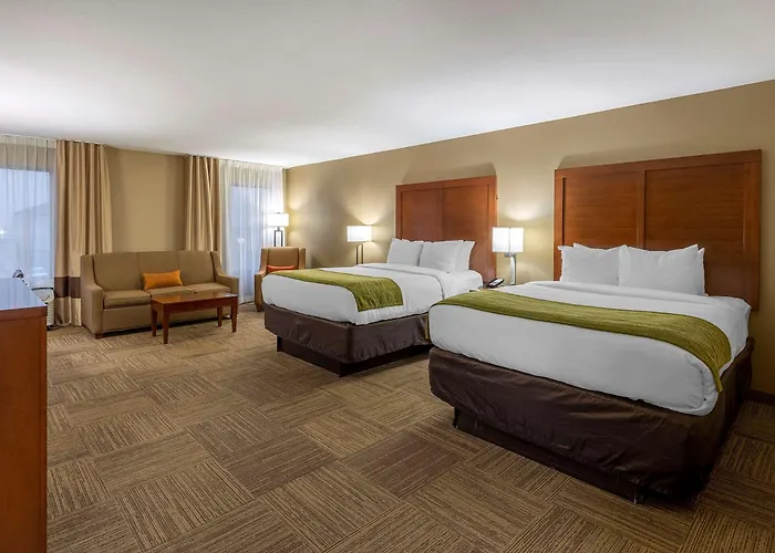 Comfort Near St Louis Mini-hôtel 4*