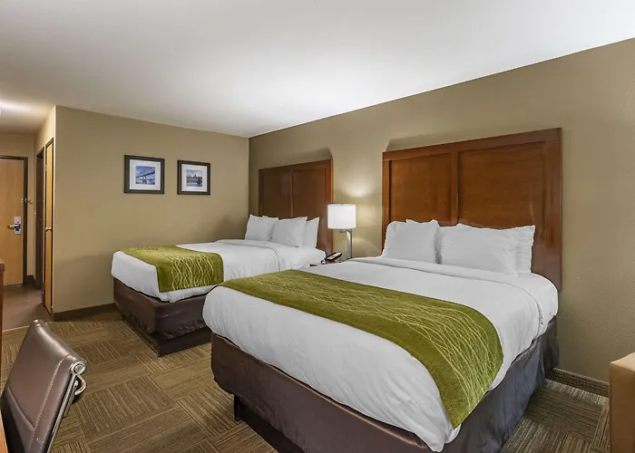 Comfort Near St Louis Mini-hôtel Collinsville