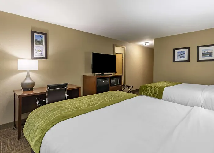 Mini-hôtel Comfort Near St Louis Collinsville