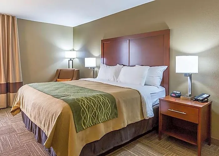 Mini-hôtel Comfort Near St Louis Collinsville