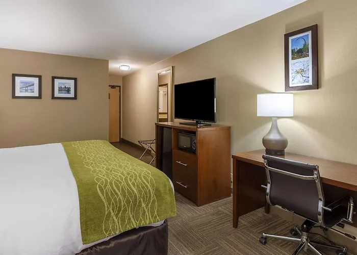 Comfort Near St Louis Collinsville