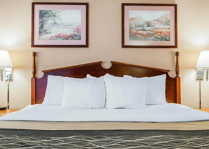 Comfort Near St Louis Mini-hôtel Collinsville