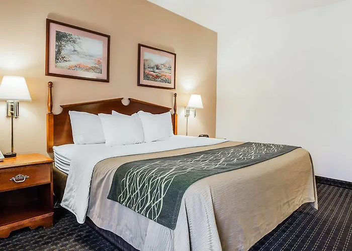 Mini-hôtel Comfort Near St Louis Collinsville