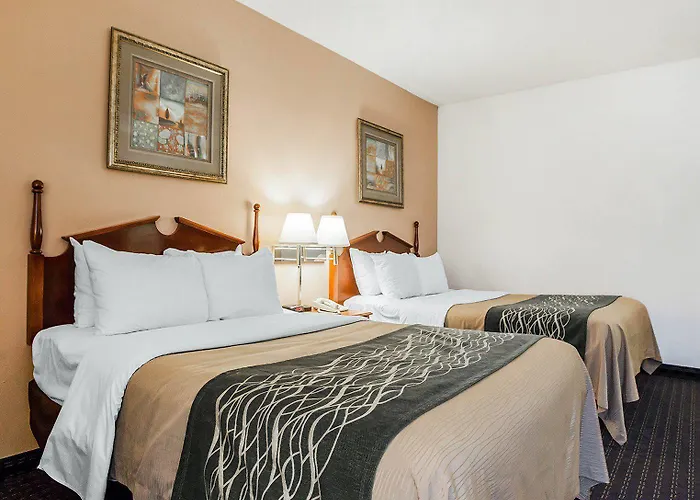 Comfort Near St Louis Mini-hôtel 4*
