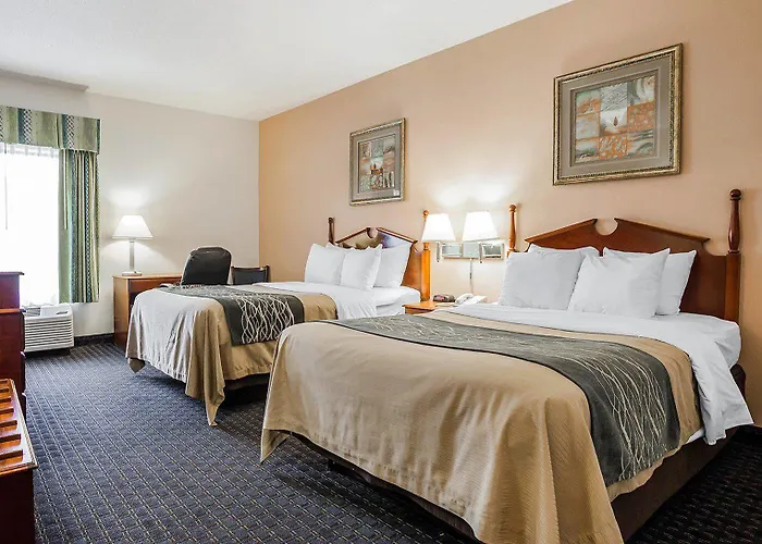Comfort Near St Louis Mini-hôtel